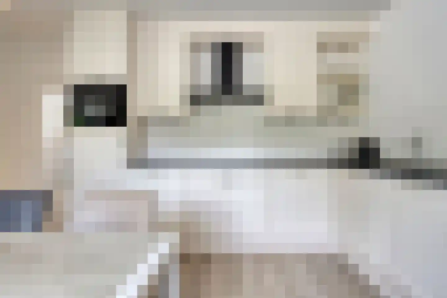 Bentelosestraat 35 Bentelo thumbnail 20