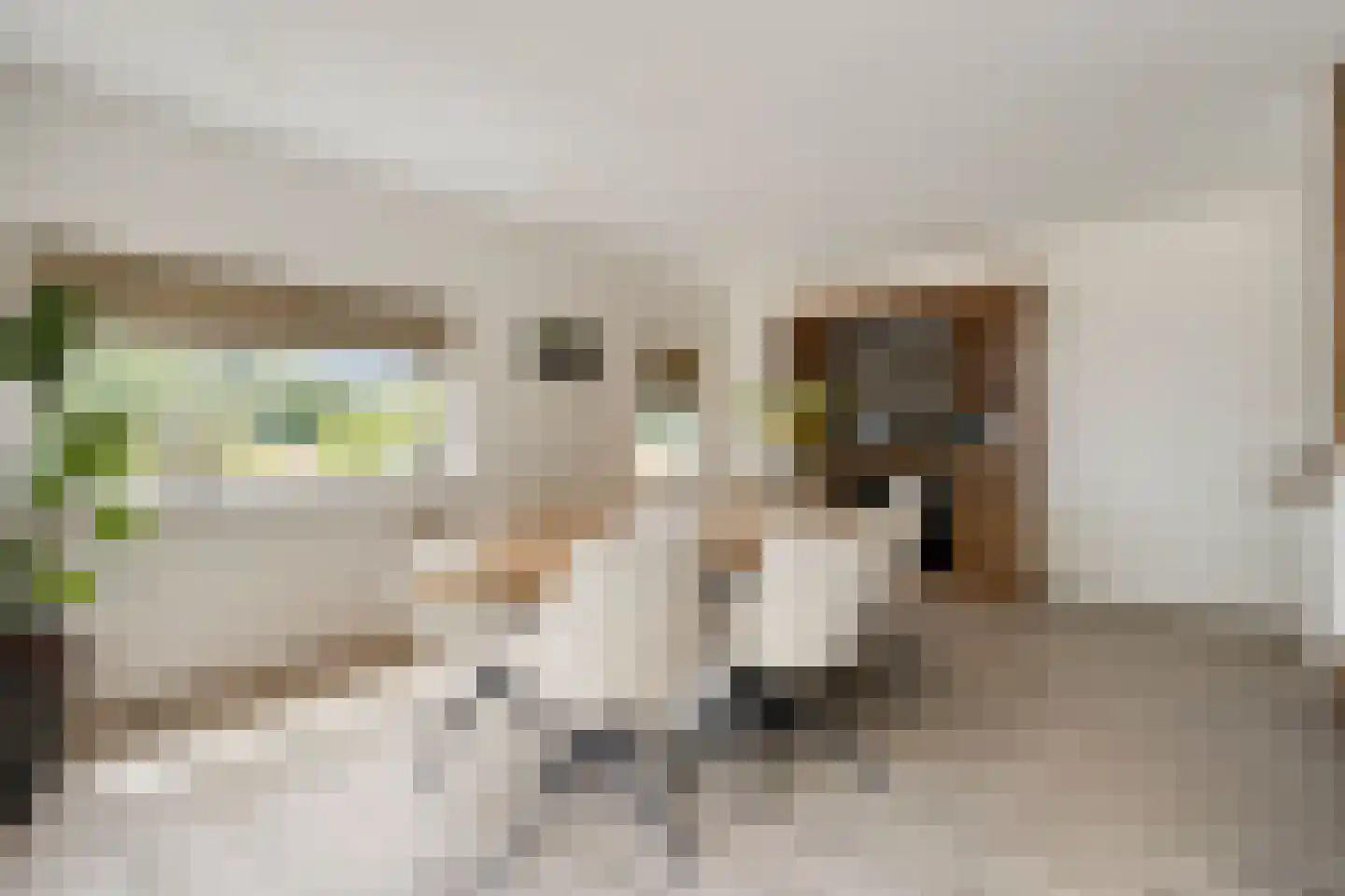 Bentelosestraat 35 Bentelo thumbnail 23
