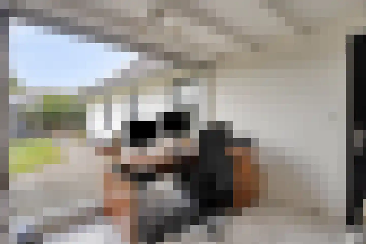 Bentelosestraat 35 Bentelo thumbnail 29