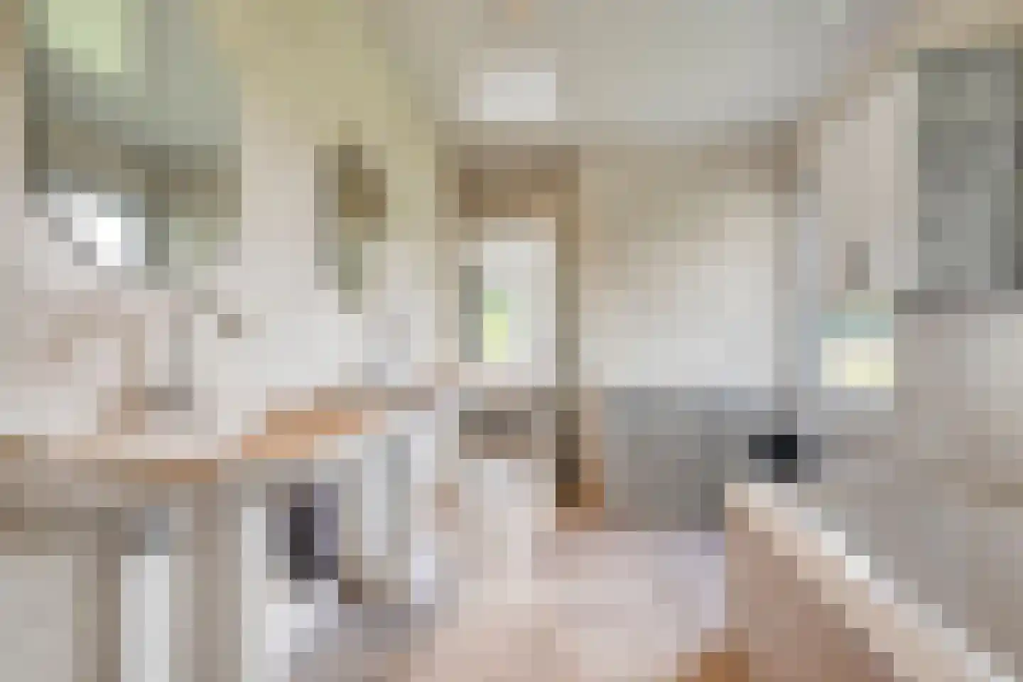 Bentelosestraat 35 Bentelo thumbnail 35