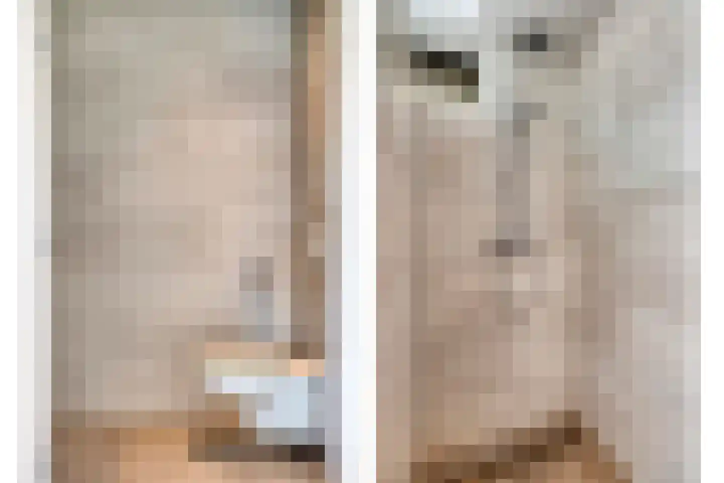 Bentelosestraat 35 Bentelo thumbnail 36