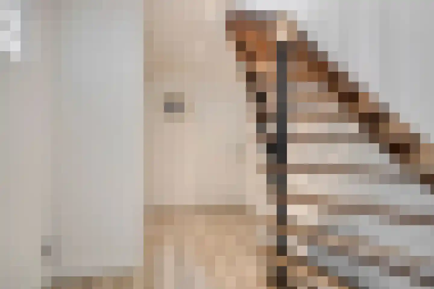 Bentelosestraat 35 Bentelo thumbnail 37