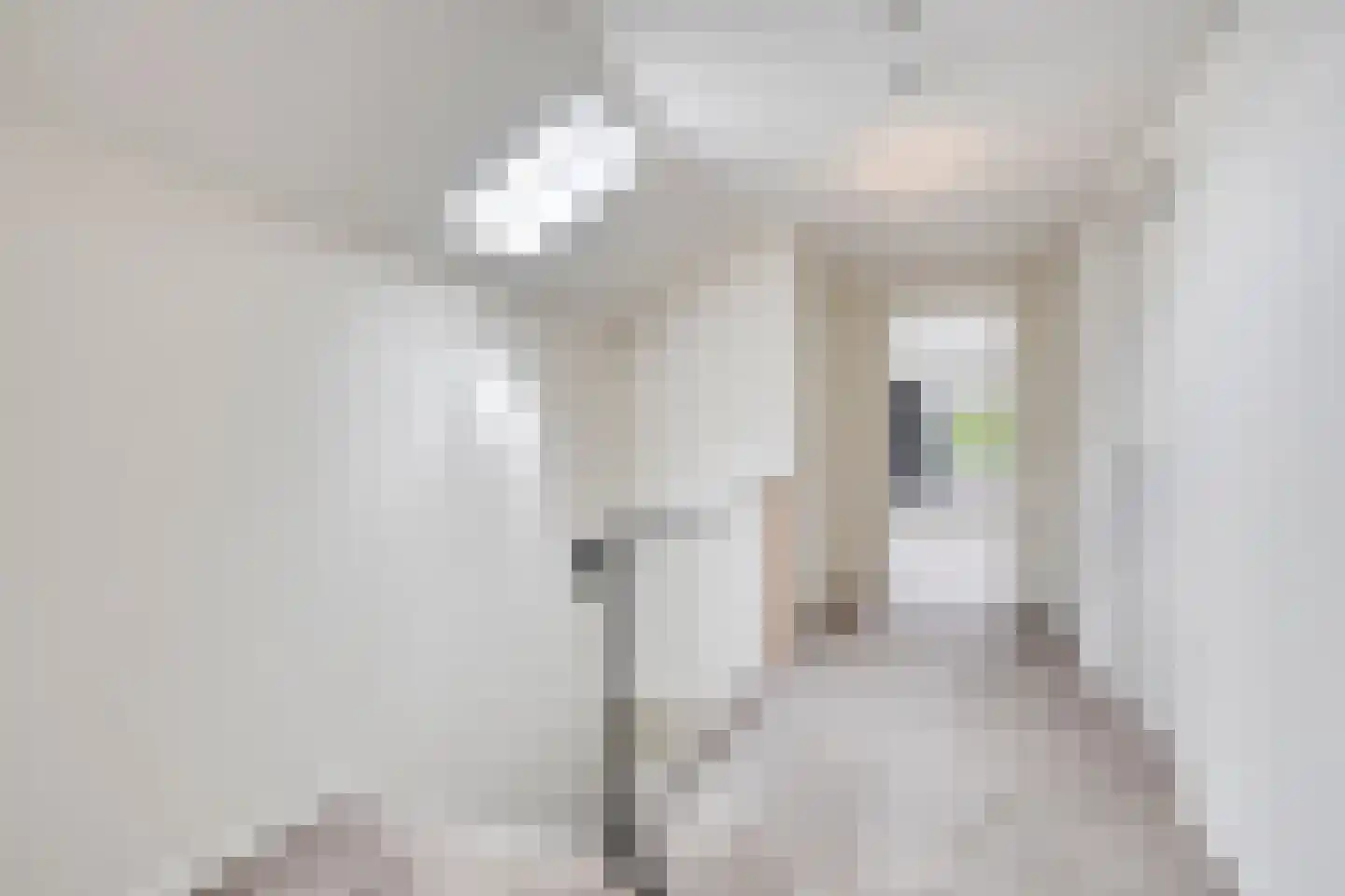 Bentelosestraat 35 Bentelo thumbnail 38