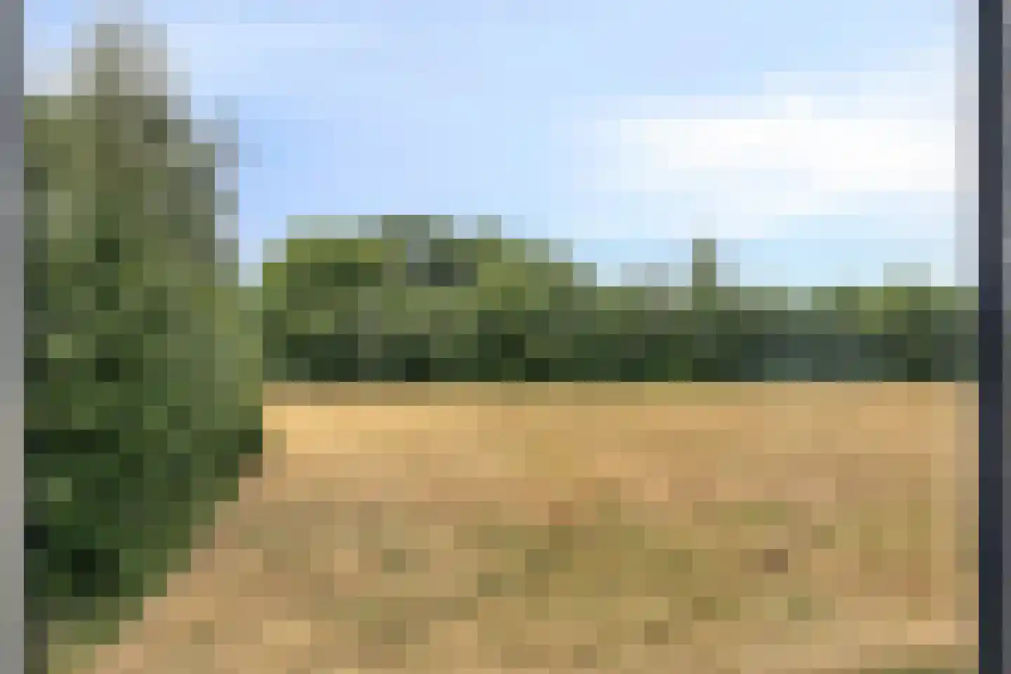 Bentelosestraat 35 Bentelo thumbnail 42