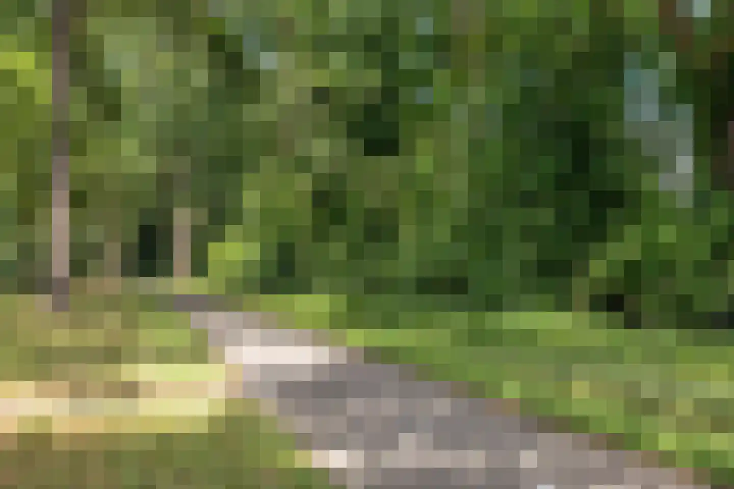 Bentelosestraat 35 Bentelo thumbnail 55