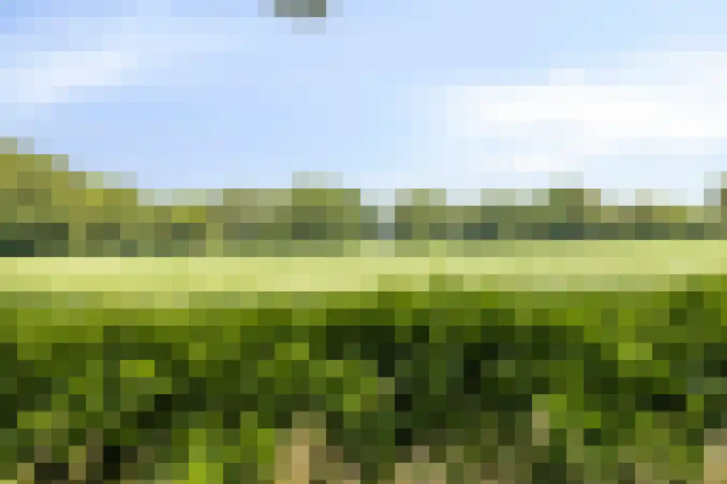 Bentelosestraat 35 Bentelo thumbnail 56