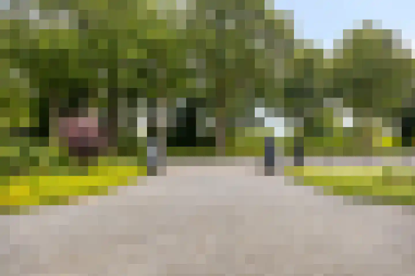 Bentelosestraat 35 Bentelo thumbnail 57