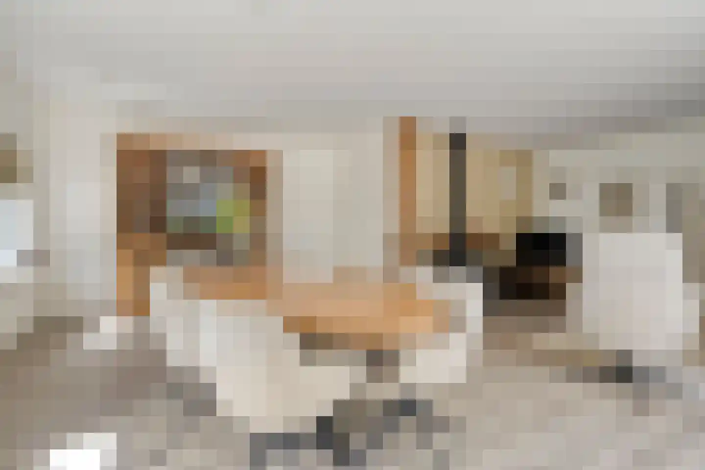 Bentelosestraat 35 Bentelo thumbnail 6