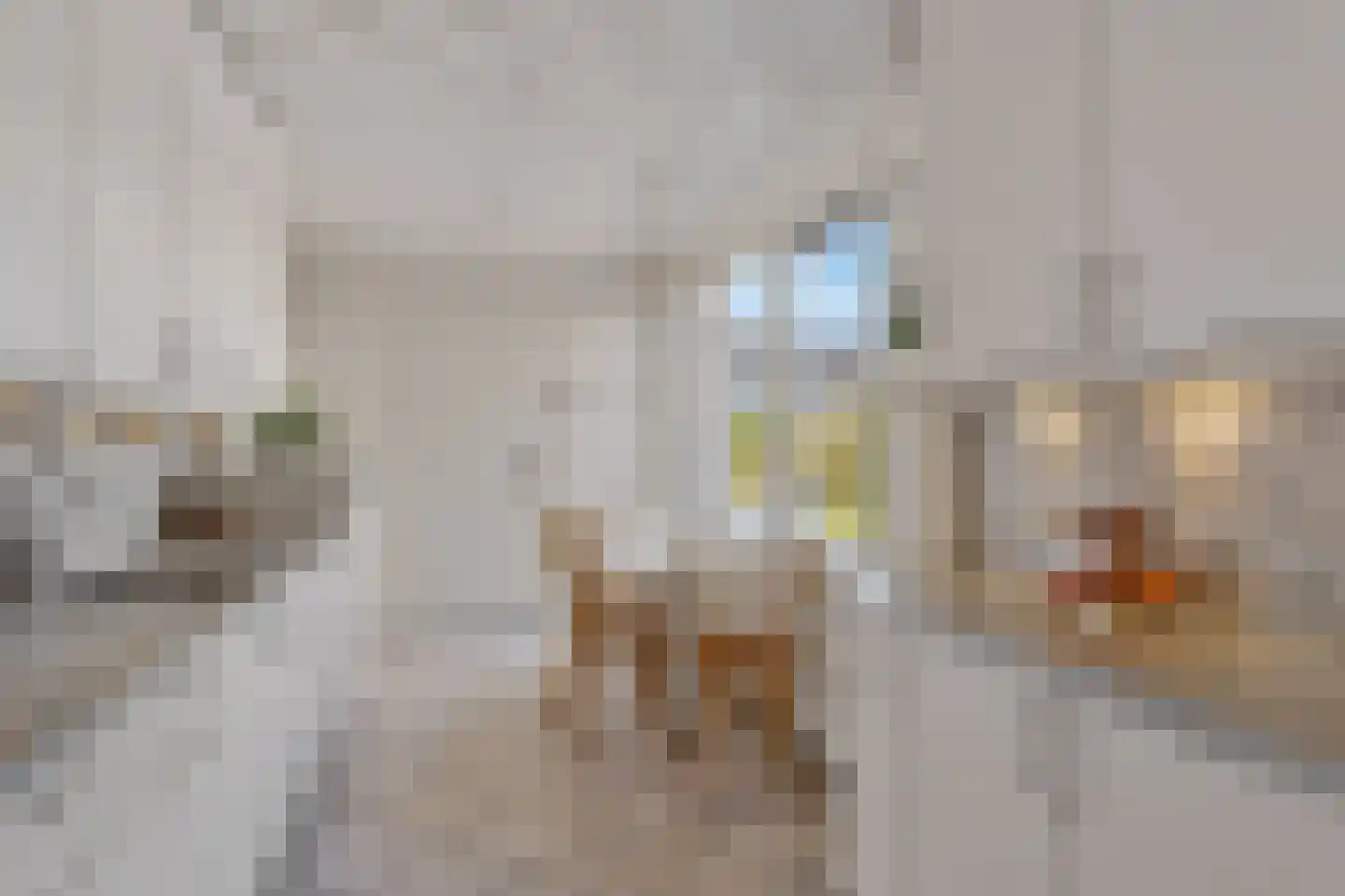 Benteloseweg 149 Delden thumbnail 19