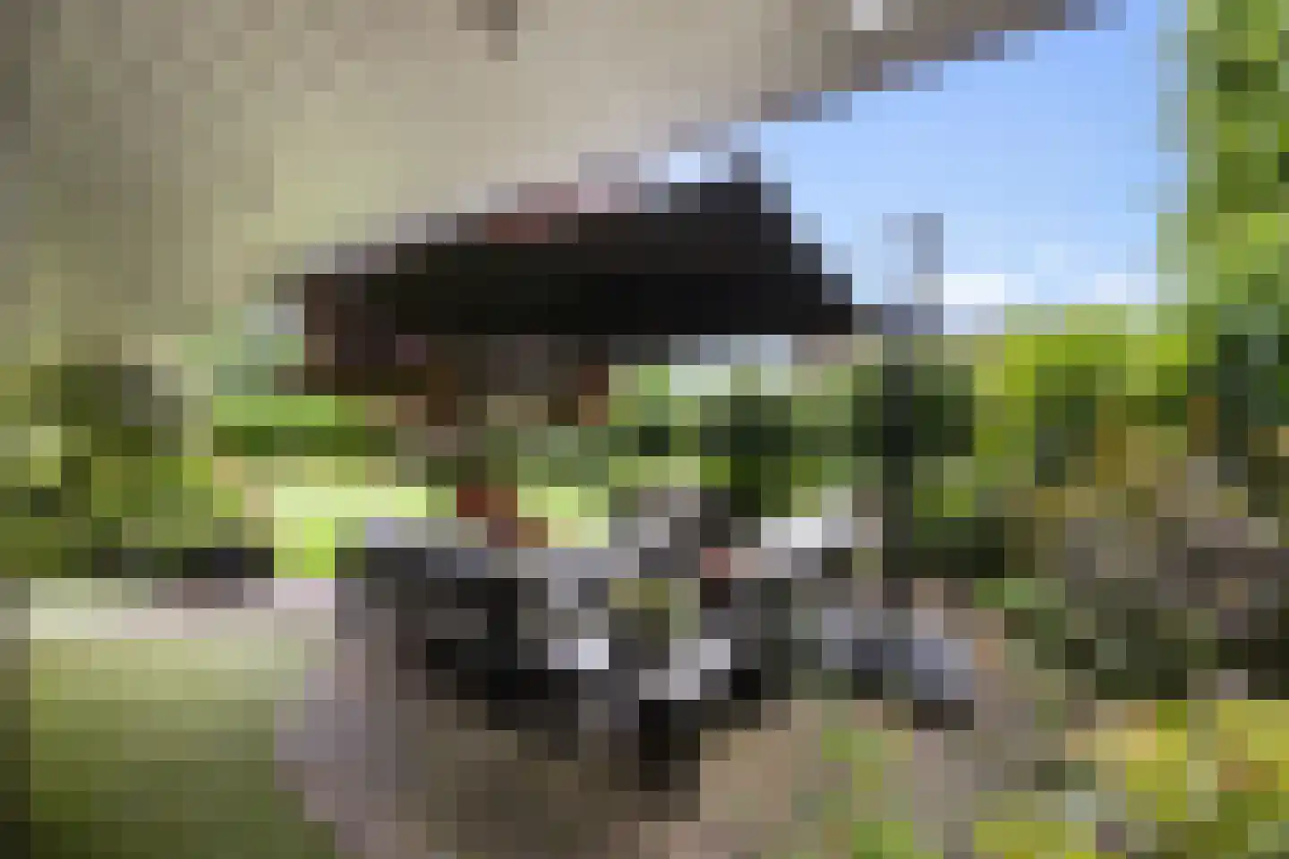 Bentemmerstraat 9 Didam thumbnail 13