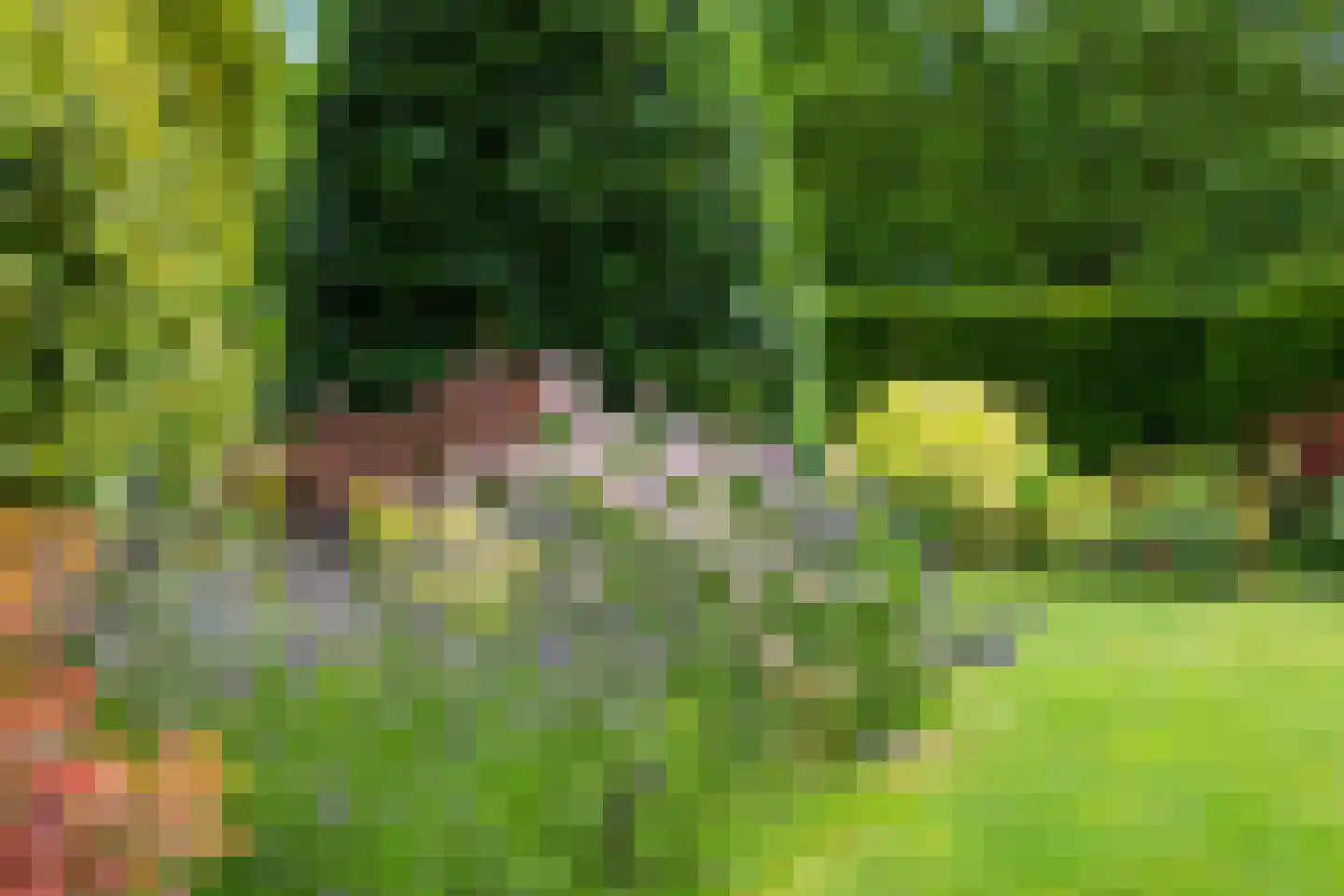 Bentemmerstraat 9 Didam thumbnail 14