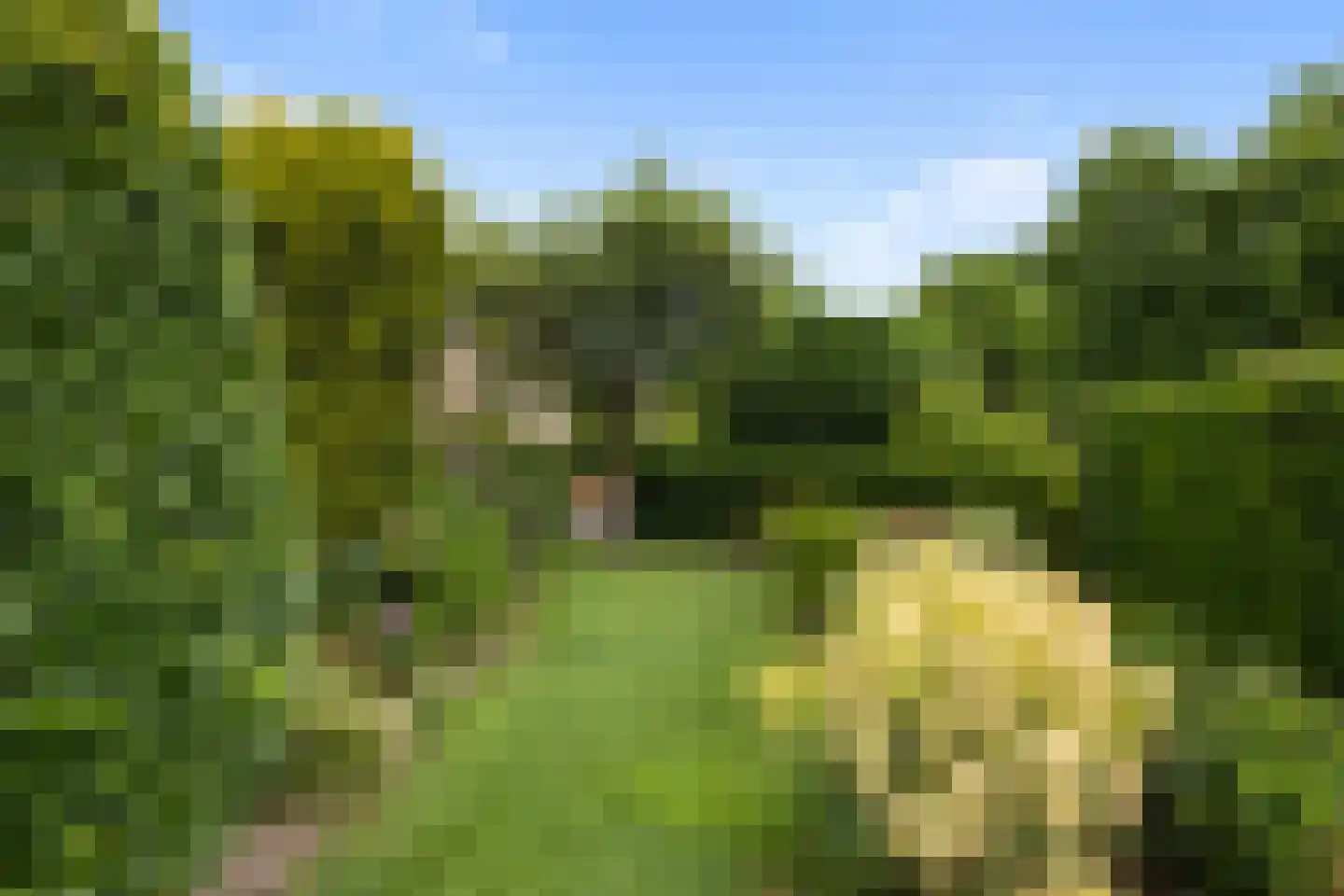 Bentemmerstraat 9 Didam thumbnail 15