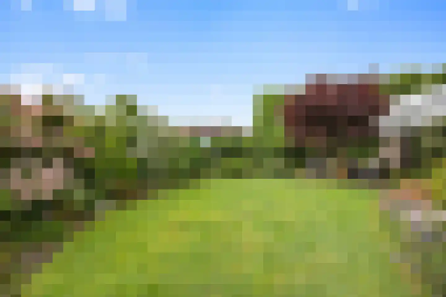 Bentemmerstraat 9 Didam thumbnail 16