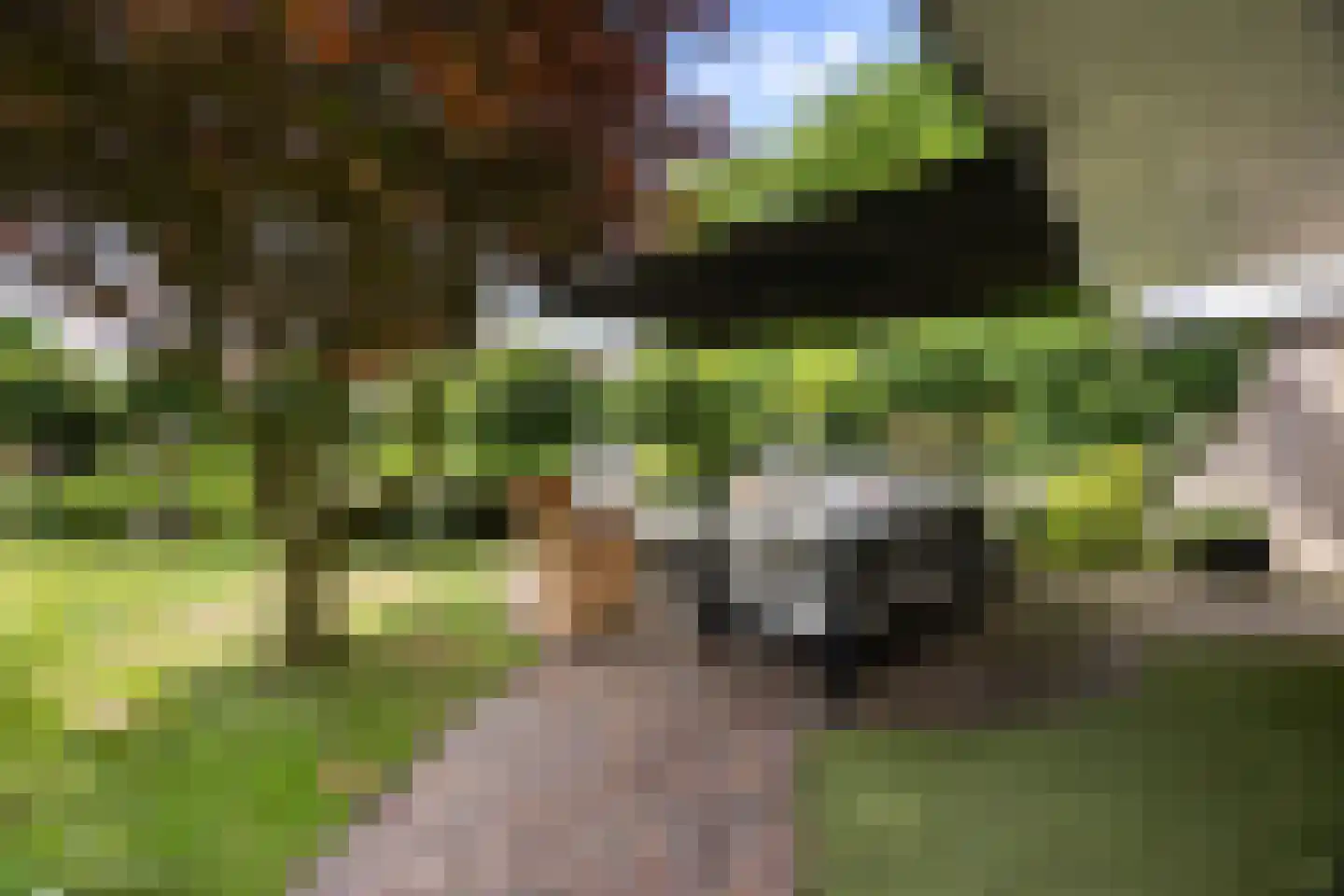 Bentemmerstraat 9 Didam thumbnail 18