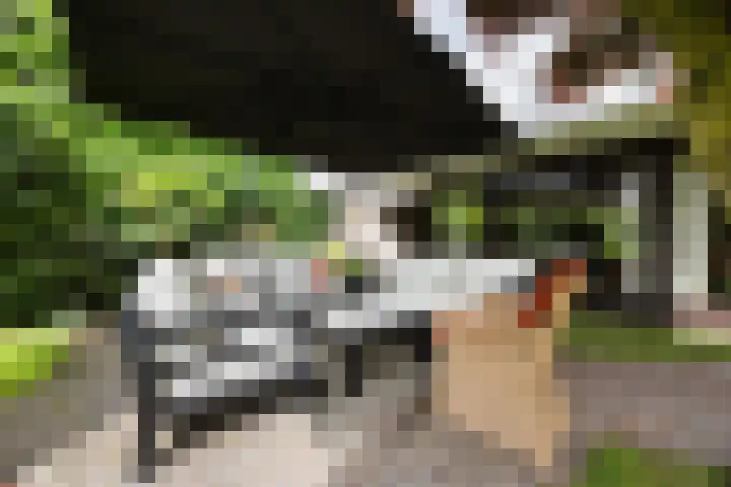 Bentemmerstraat 9 Didam thumbnail 19