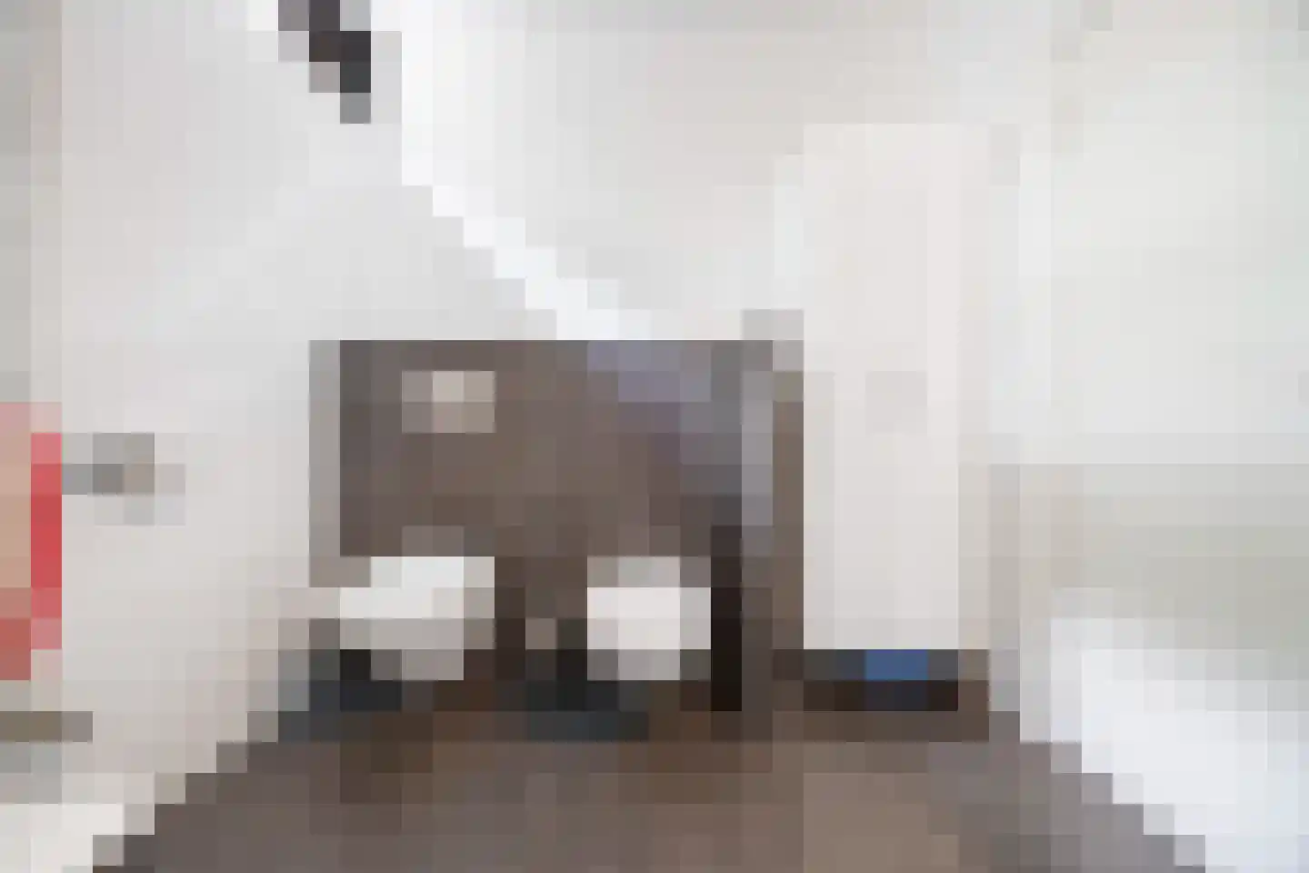 Bentemmerstraat 9 Didam thumbnail 22