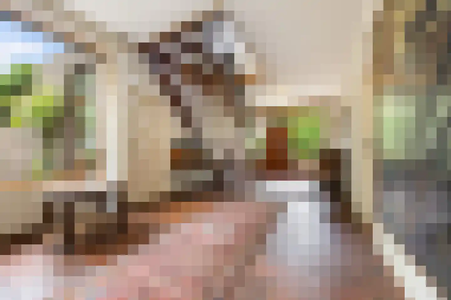Bentemmerstraat 9 Didam thumbnail 24