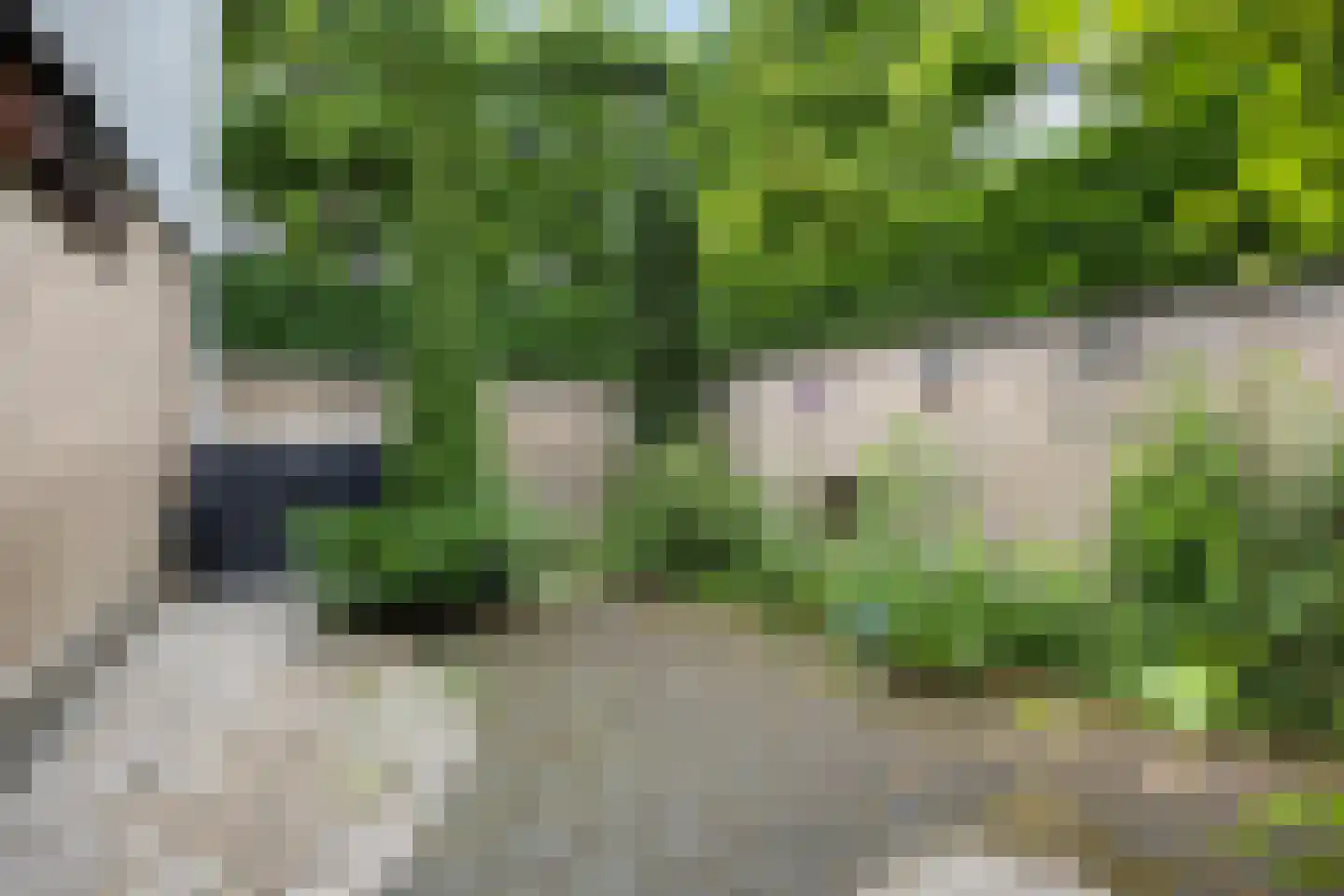 Bentemmerstraat 9 Didam thumbnail 26