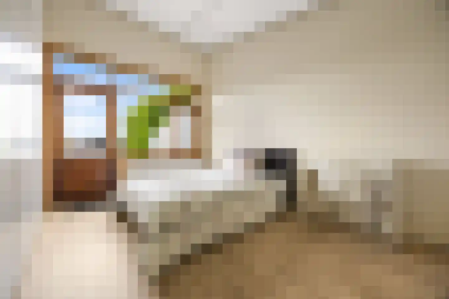 Bentemmerstraat 9 Didam thumbnail 32
