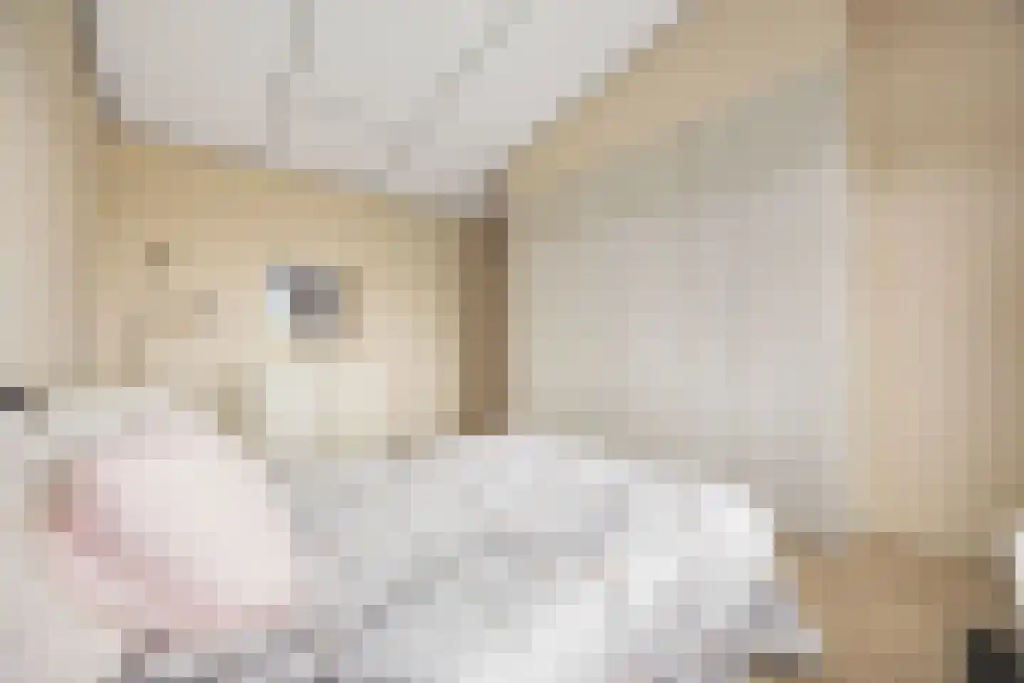 Bentemmerstraat 9 Didam thumbnail 33
