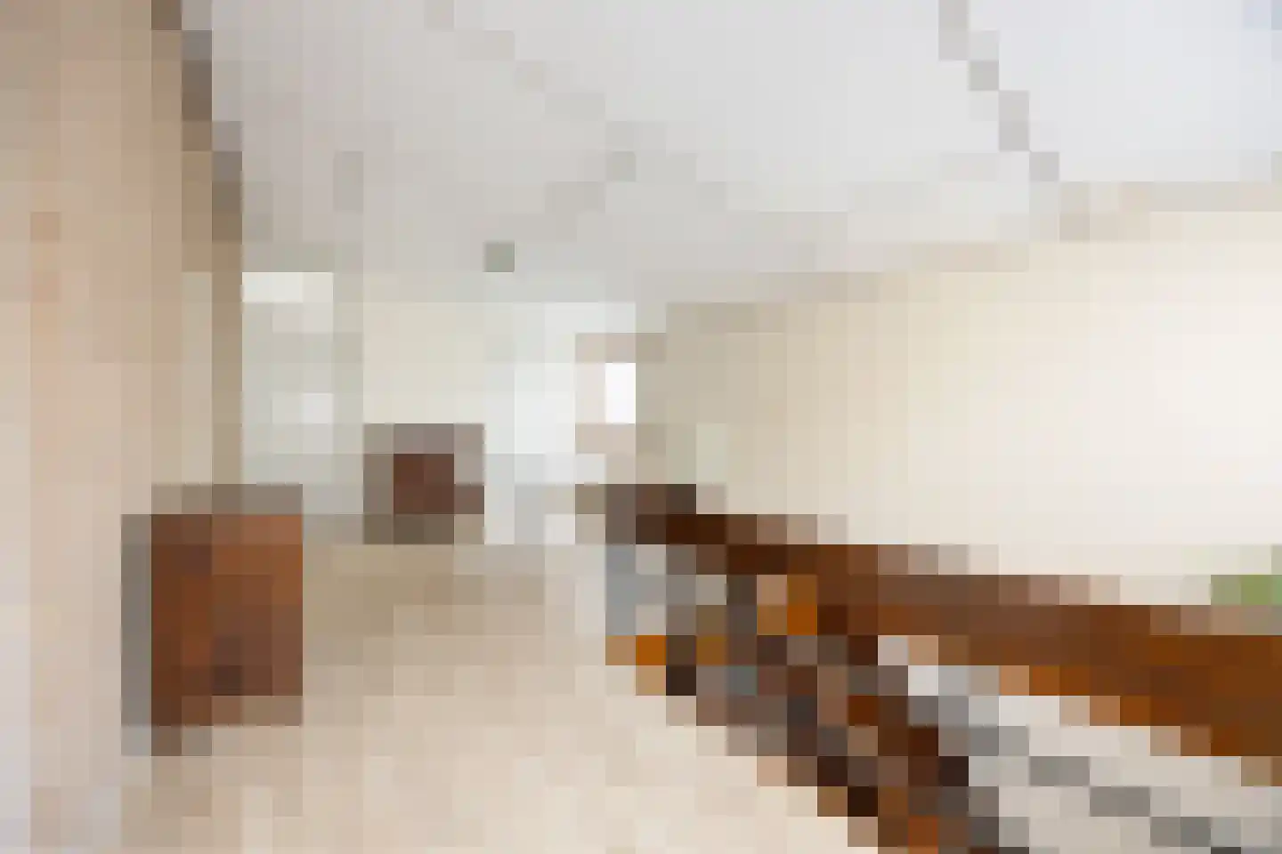 Bentemmerstraat 9 Didam thumbnail 38