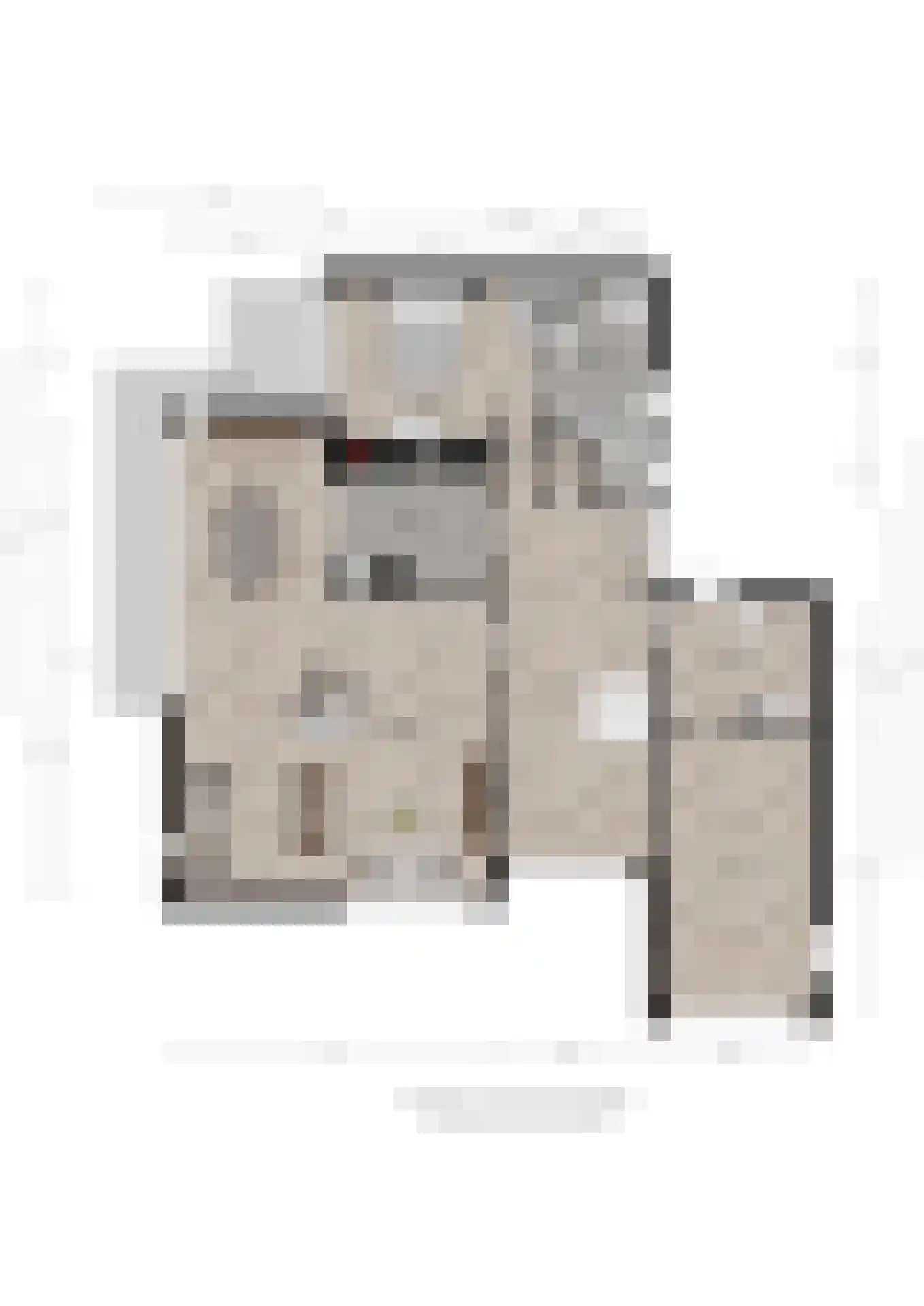 Bentemmerstraat 9 Didam thumbnail 40