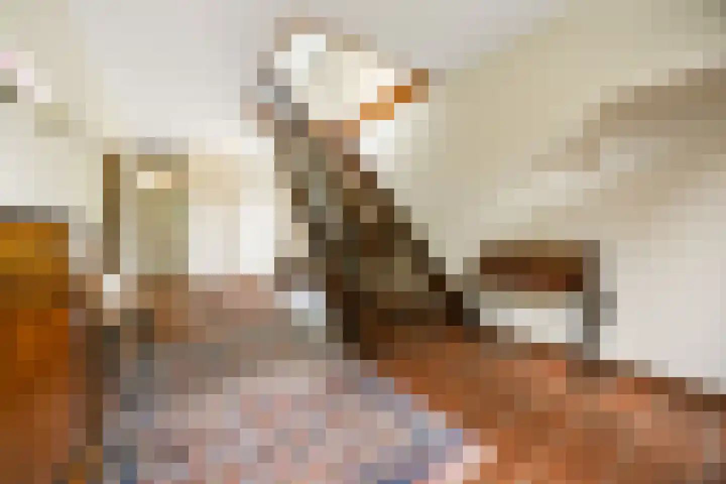 Bentemmerstraat 9 Didam thumbnail 6