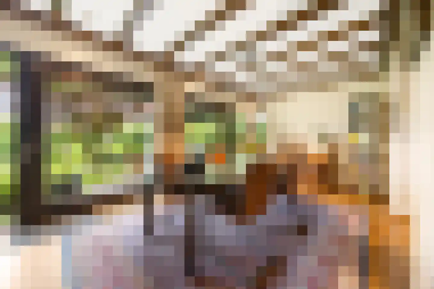 Bentemmerstraat 9 Didam thumbnail 9