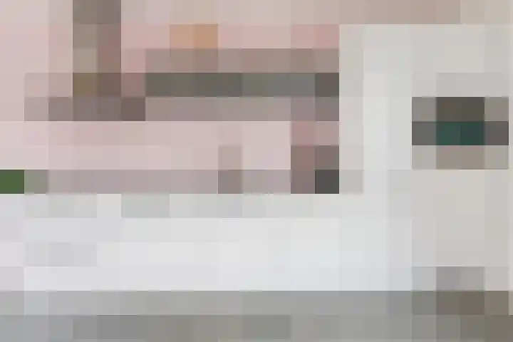 Bentheimerstraat 10 Utrecht thumbnail 13