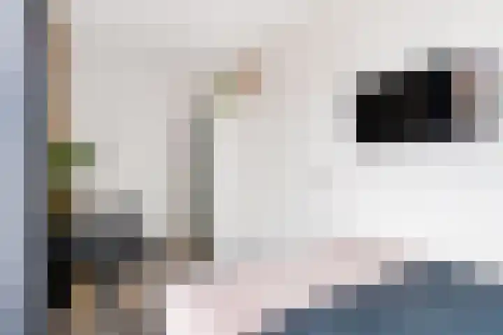 Bentheimerstraat 10 Utrecht thumbnail 21