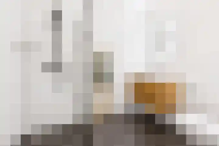 Bentheimerstraat 10 Utrecht thumbnail 22
