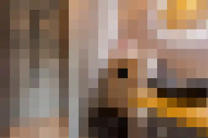 Bentheimerstraat 10 Utrecht thumbnail 29