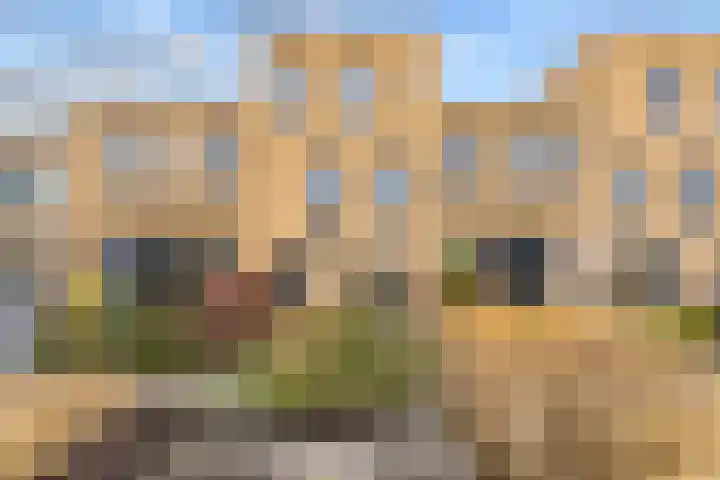 Bentheimerstraat 10 Utrecht thumbnail 33