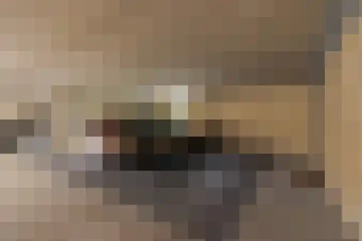 Bentheimerstraat 10 Utrecht thumbnail 41