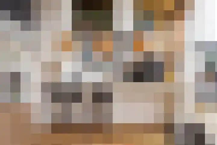 Bentheimerstraat 10 Utrecht thumbnail 46