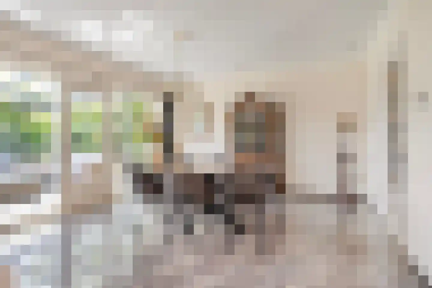 Bentheimerstraat 28 de Lutte thumbnail 10