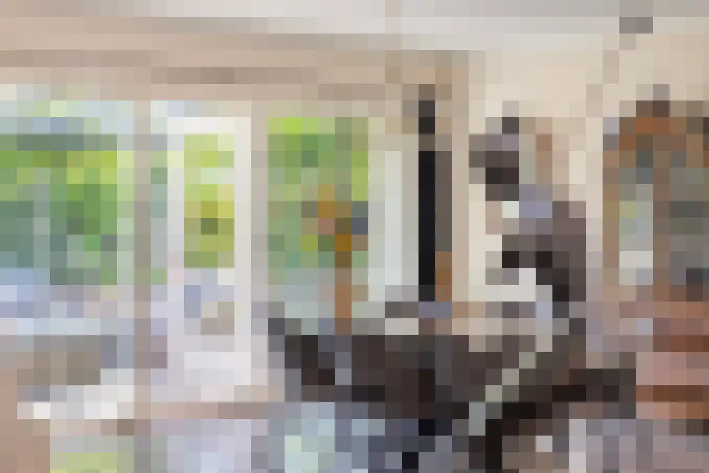 Bentheimerstraat 28 de Lutte thumbnail 11