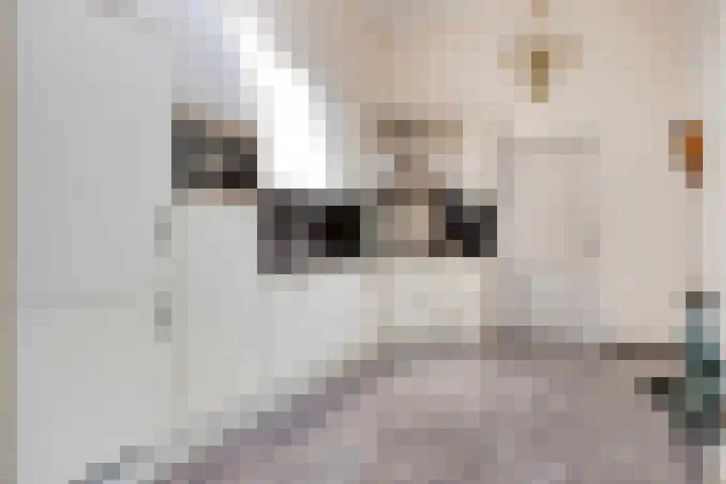 Bentheimerstraat 28 de Lutte thumbnail 13
