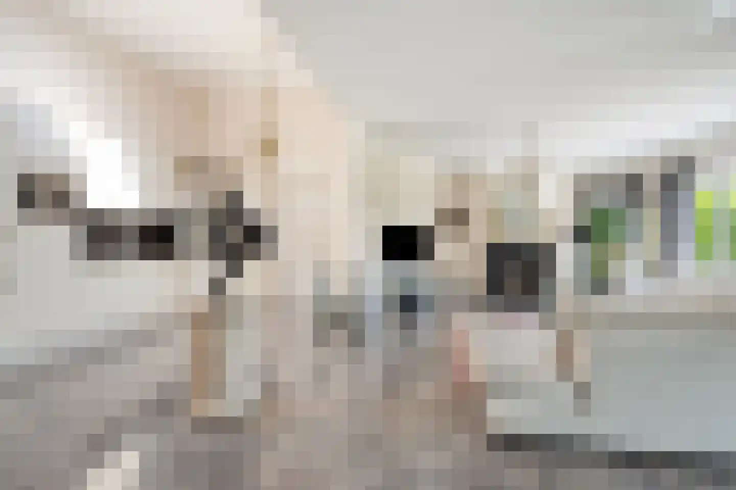Bentheimerstraat 28 de Lutte thumbnail 14