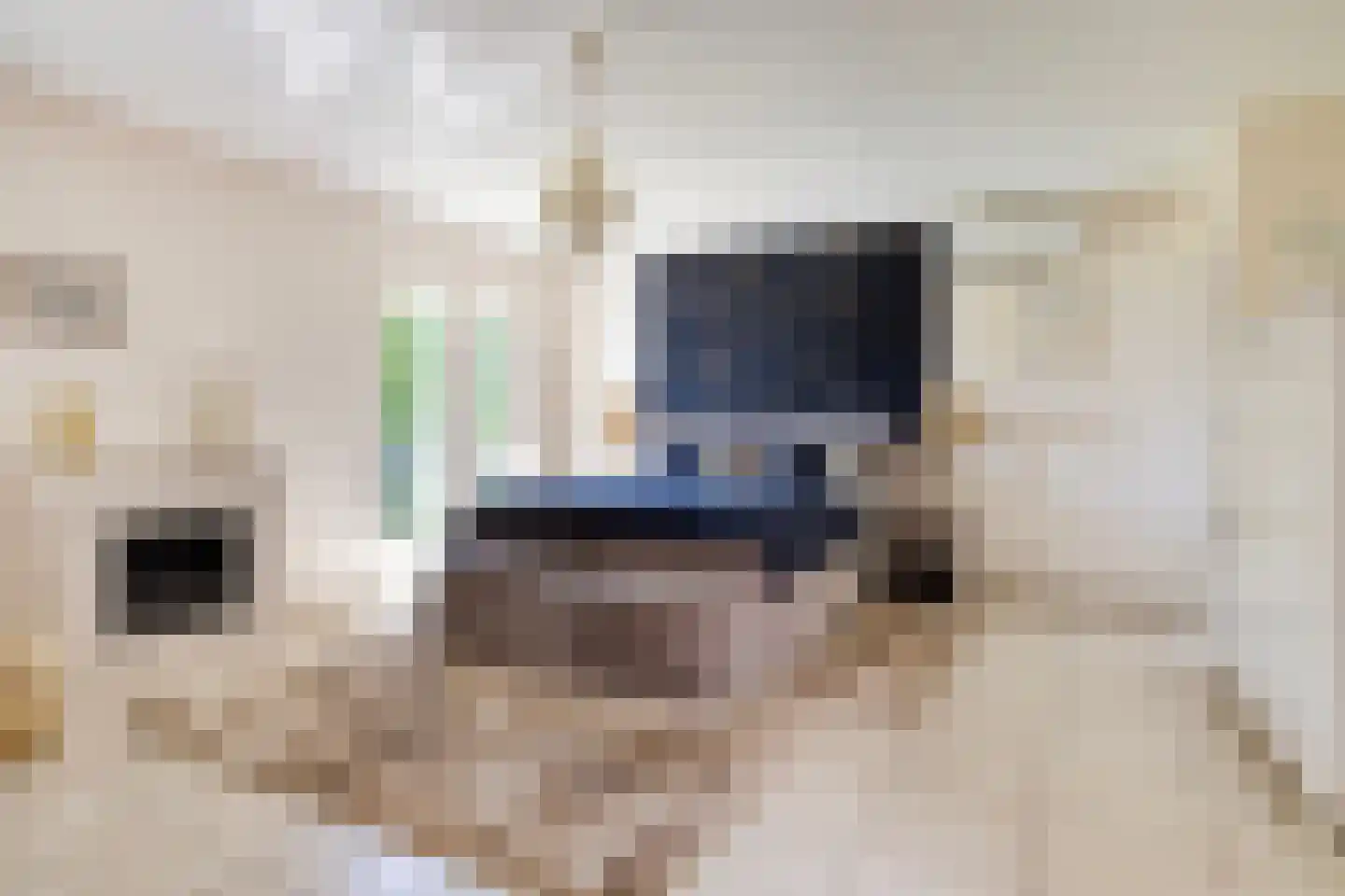 Bentheimerstraat 28 de Lutte thumbnail 15