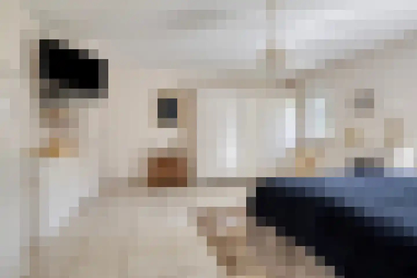 Bentheimerstraat 28 de Lutte thumbnail 16
