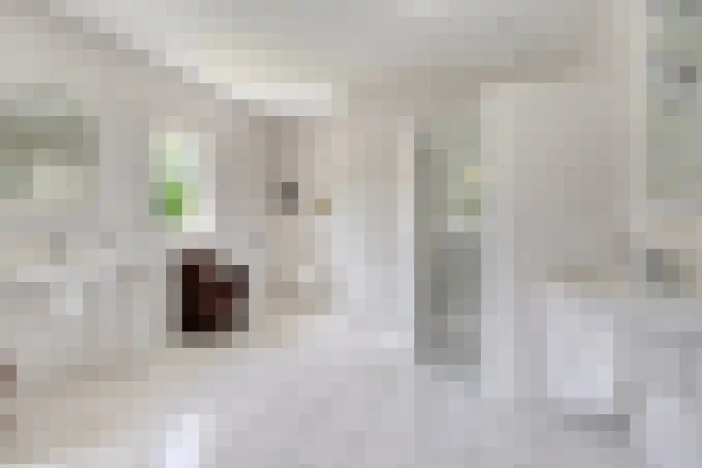 Bentheimerstraat 28 de Lutte thumbnail 17