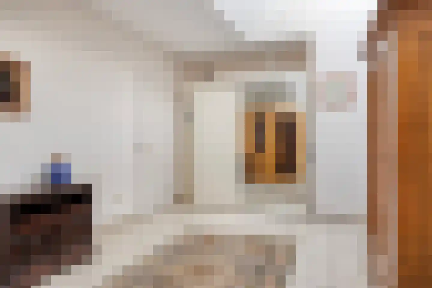 Bentheimerstraat 28 de Lutte thumbnail 20