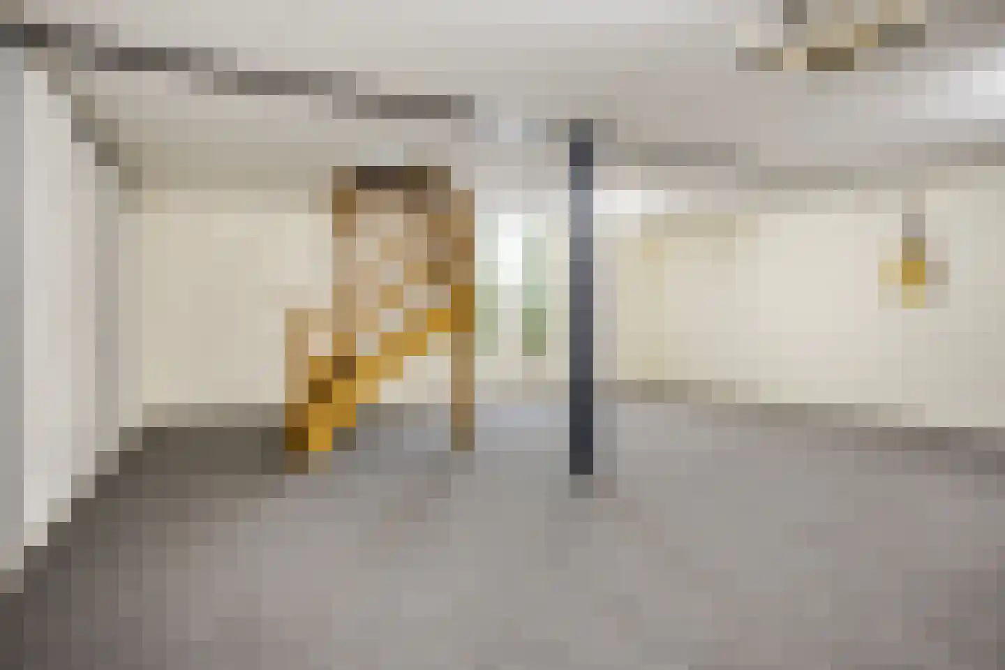 Bentheimerstraat 28 de Lutte thumbnail 23