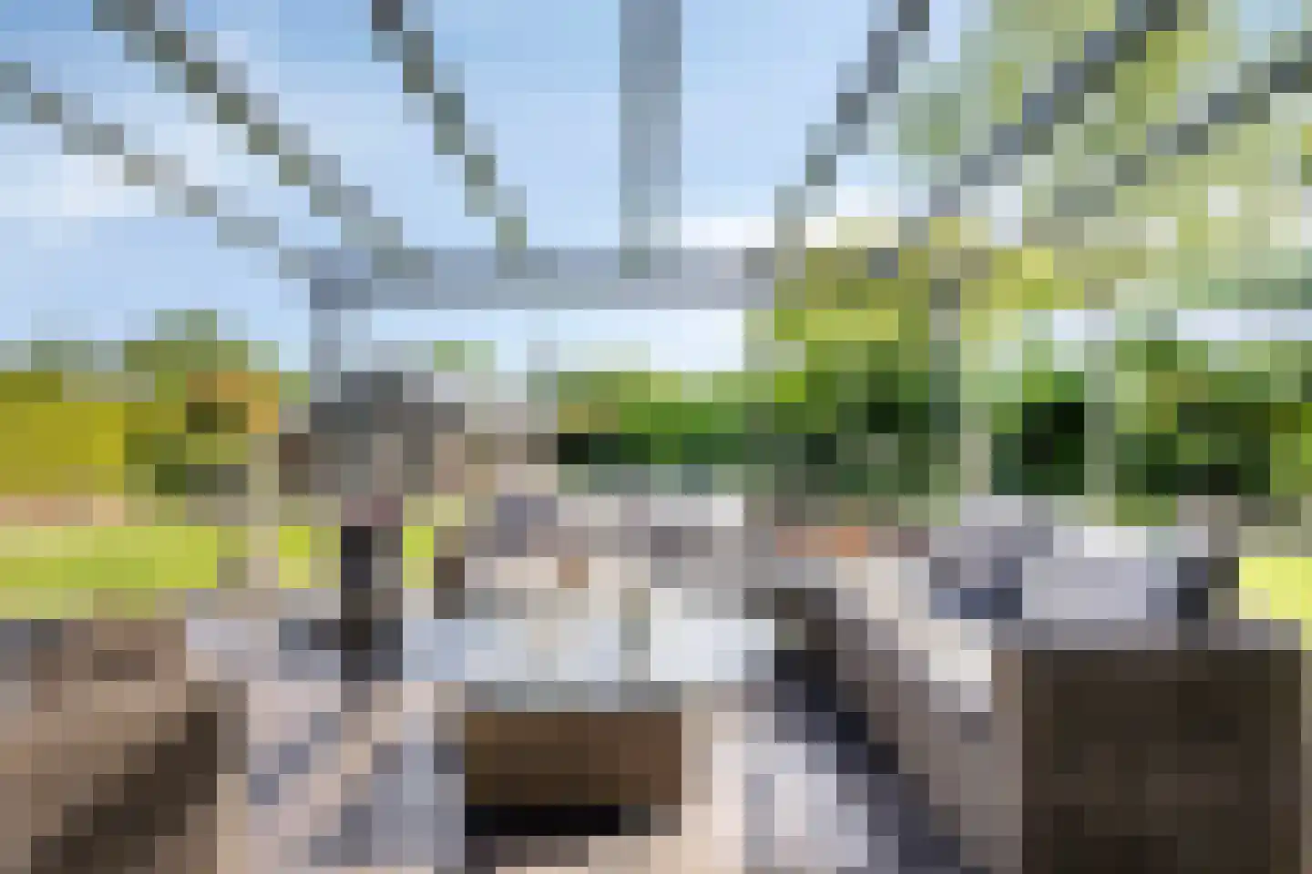Bentheimerstraat 28 de Lutte thumbnail 25