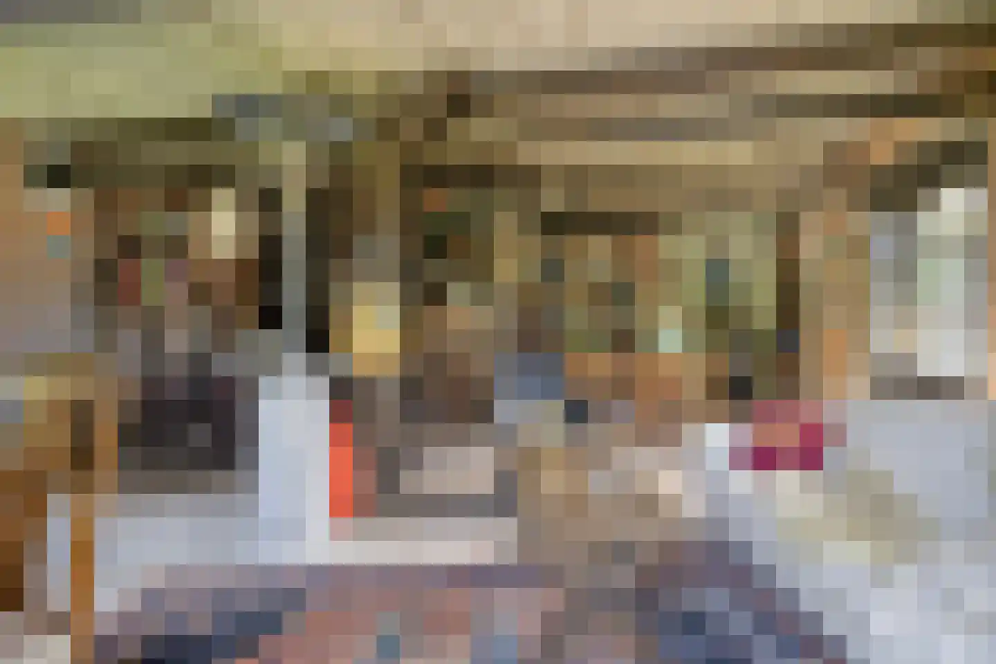 Bentheimerstraat 28 de Lutte thumbnail 30