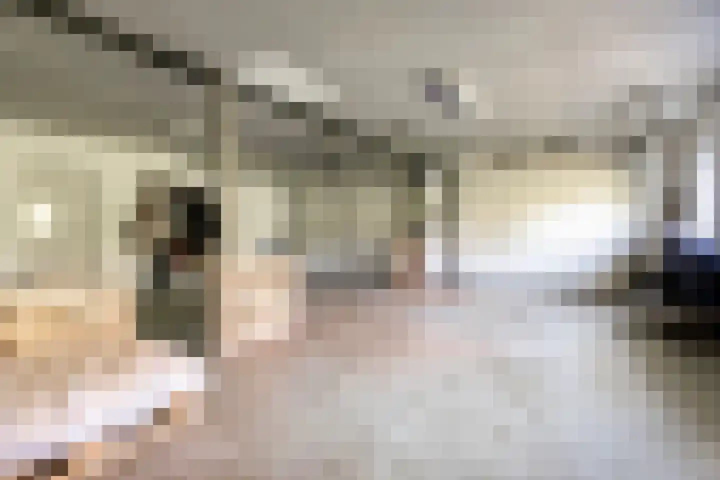 Bentheimerstraat 28 de Lutte thumbnail 36