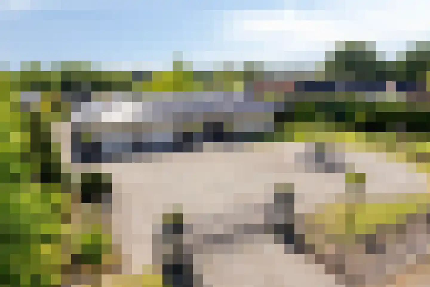 Bentheimerstraat 28 de Lutte thumbnail 39
