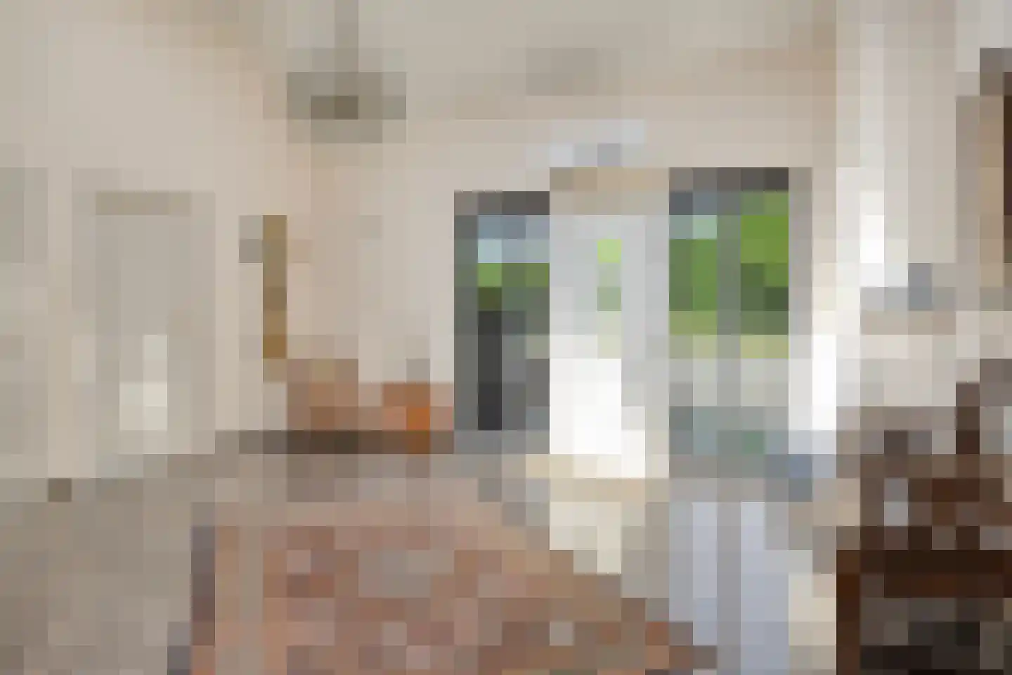 Bentheimerstraat 28 de Lutte thumbnail 4