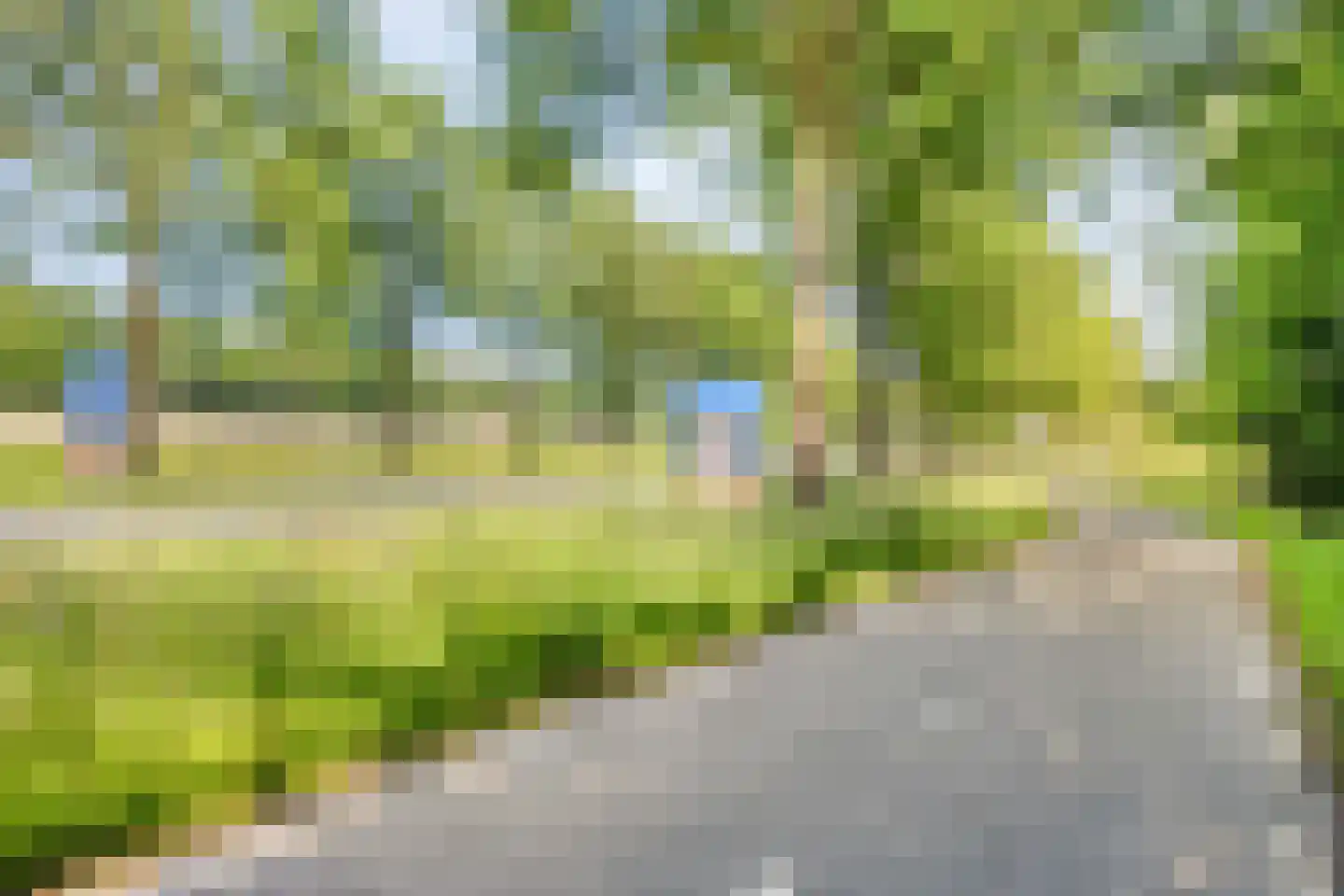 Bentheimerstraat 28 de Lutte thumbnail 41